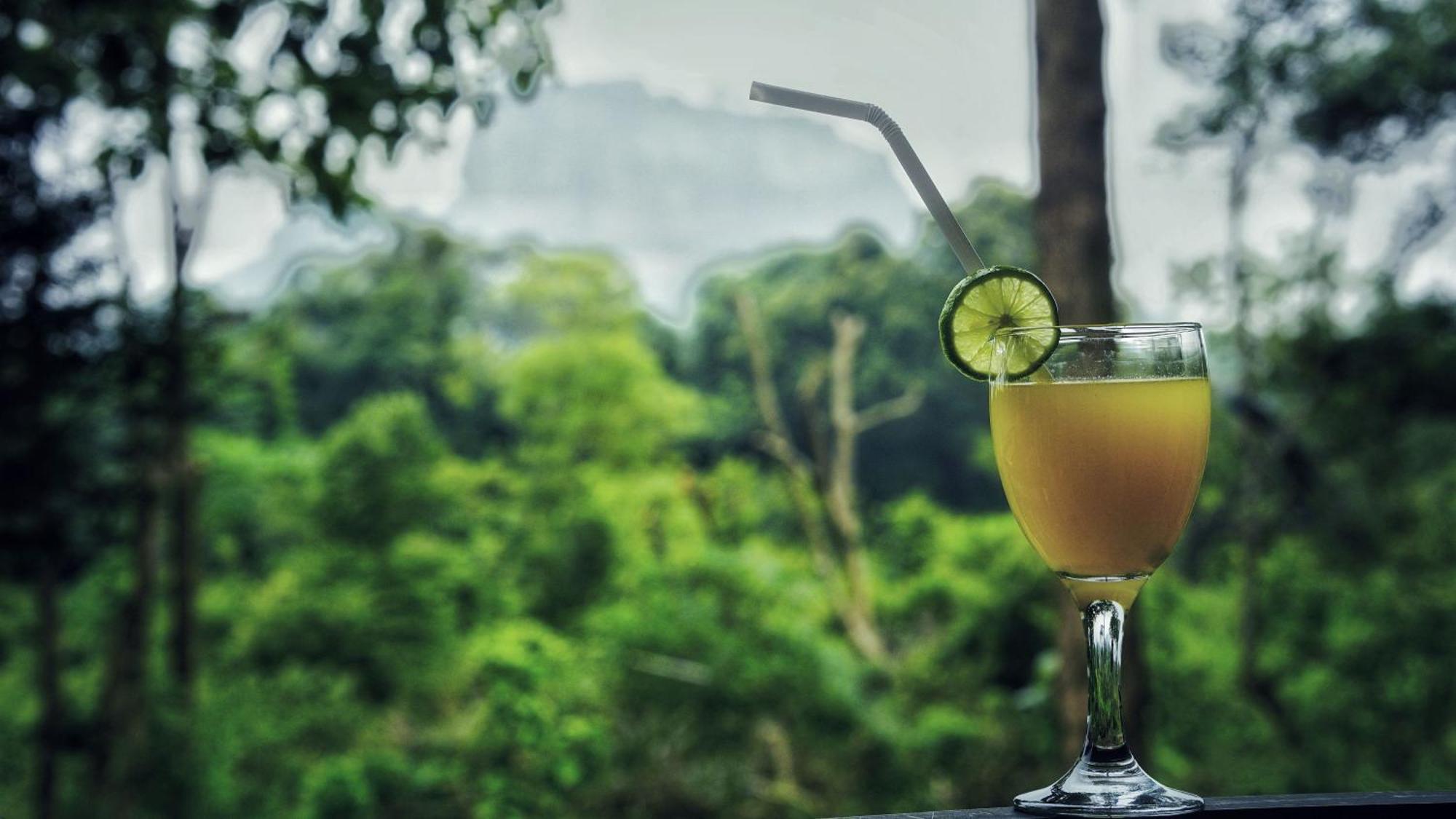 Sigiri Saat Cabana Sigiriya Esterno foto