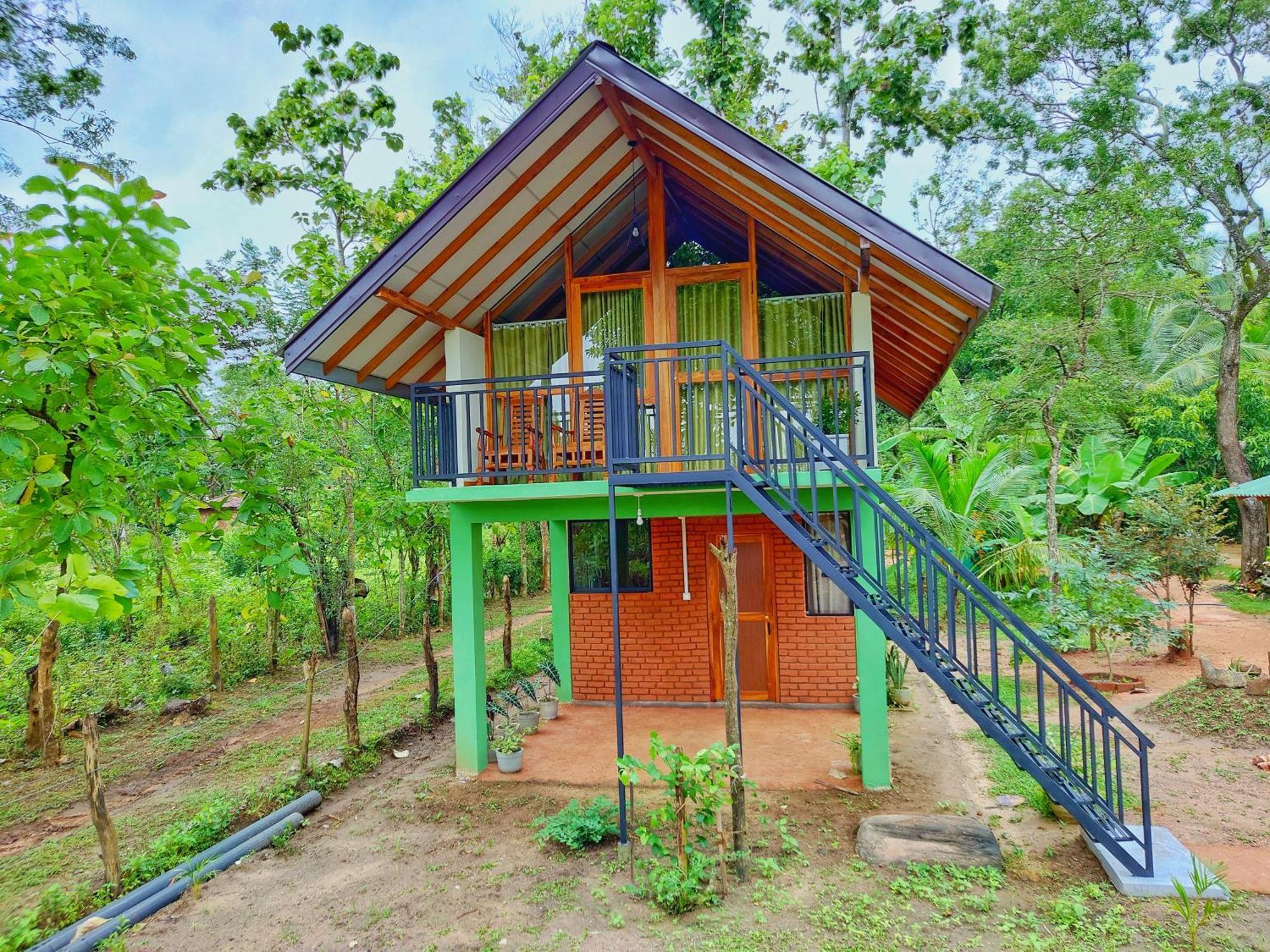 Sigiri Saat Cabana Sigiriya Esterno foto