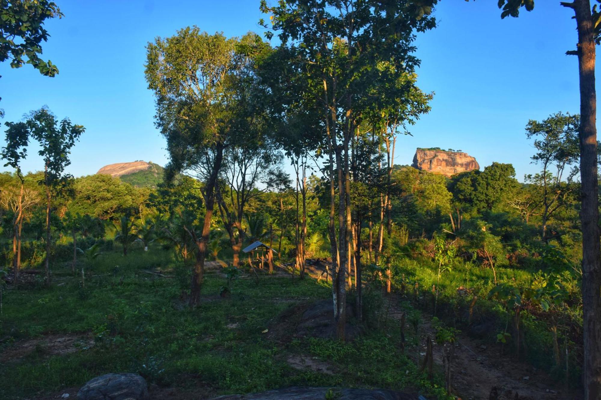 Sigiri Saat Cabana Sigiriya Esterno foto