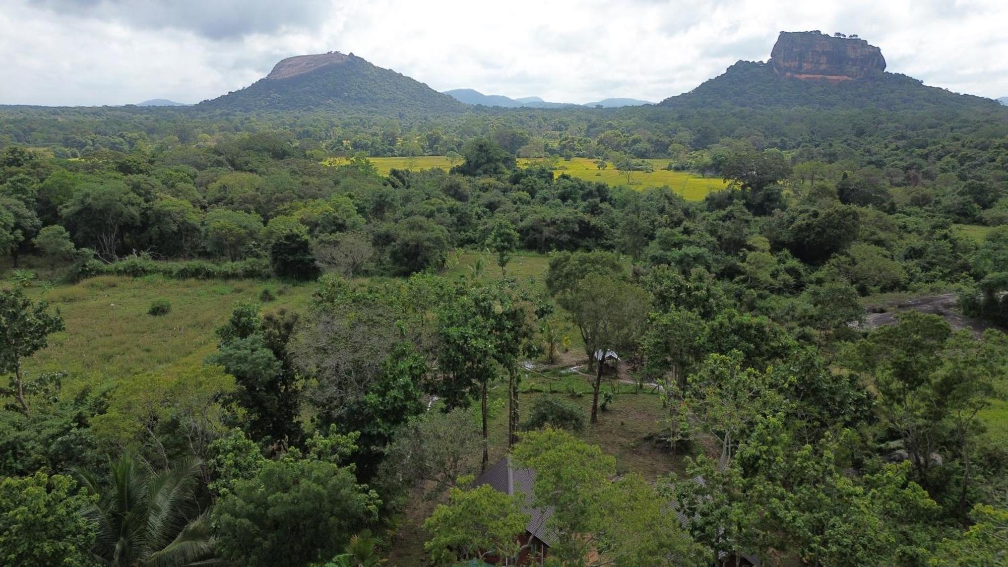 Sigiri Saat Cabana Sigiriya Esterno foto